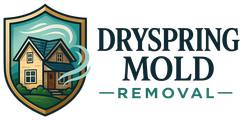 Dryspring Mold Removal